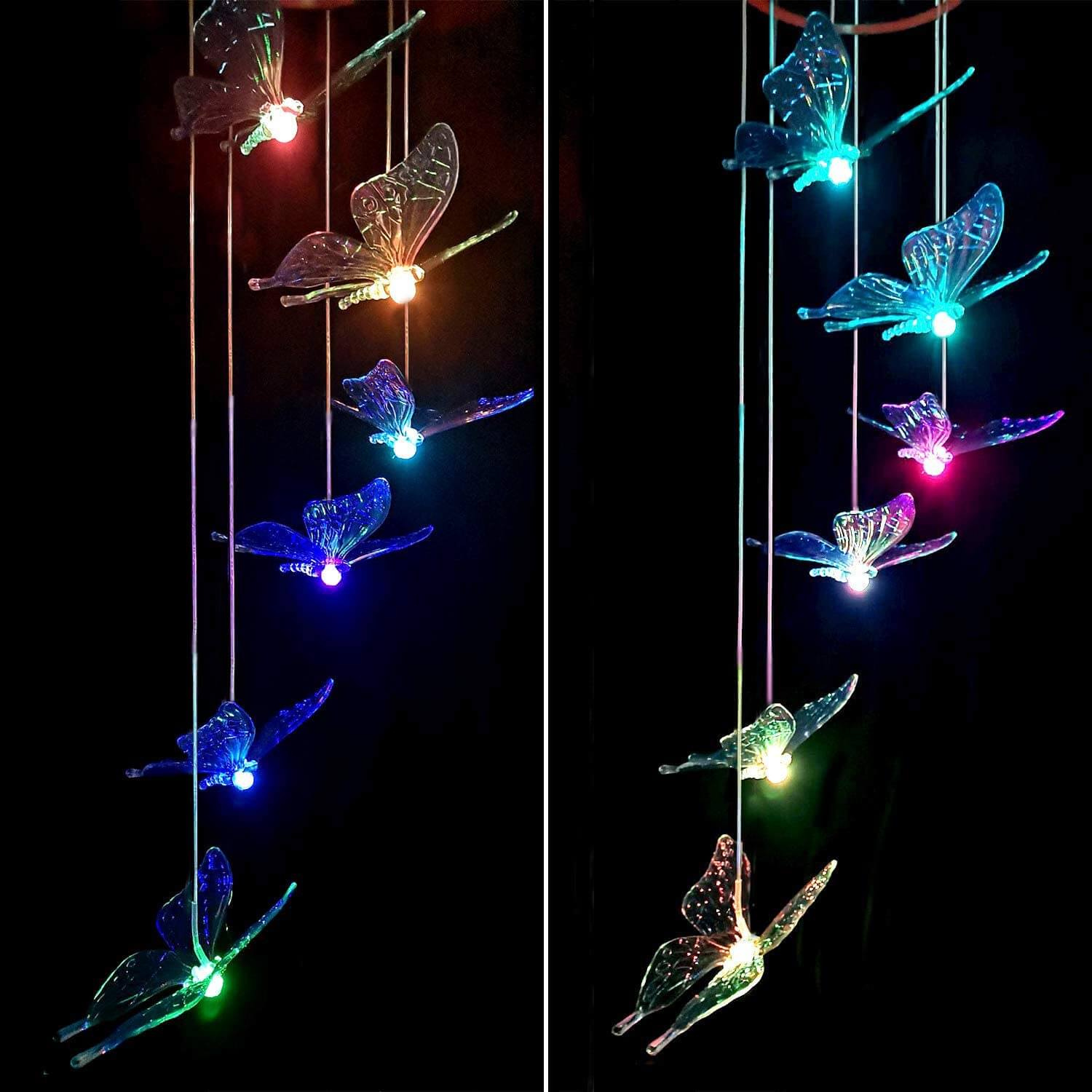 solar-butterfly-nights-us-6684828663967_4.jpg