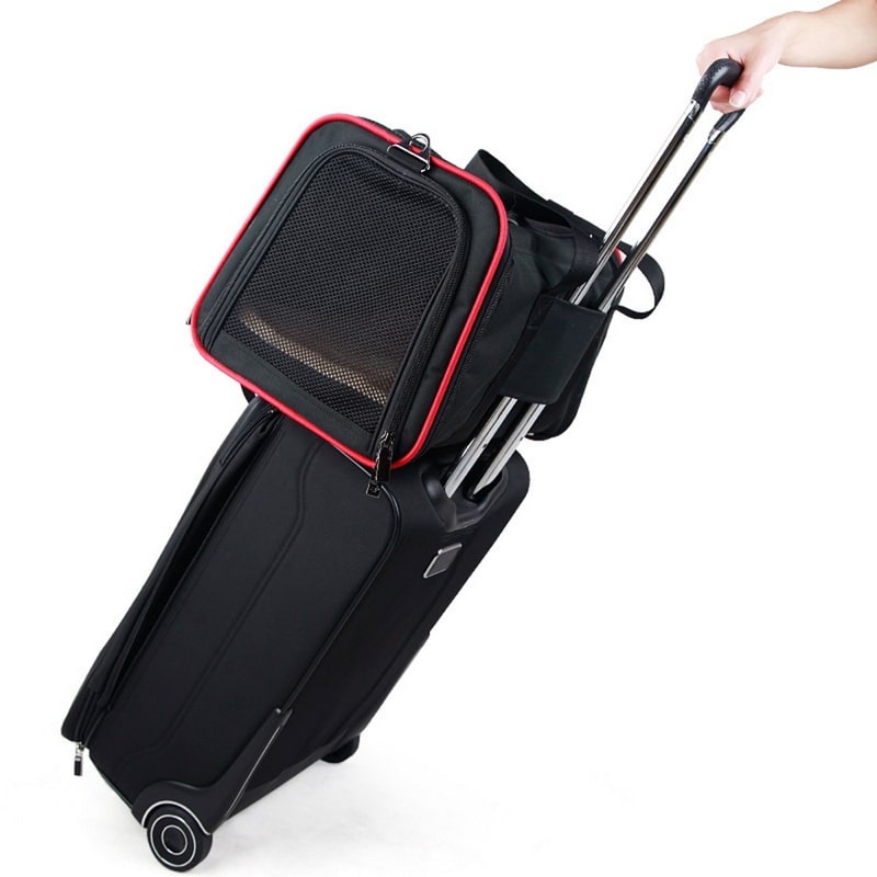 sac-de-transport-chat-extensible-us-4558946041961_8.jpg