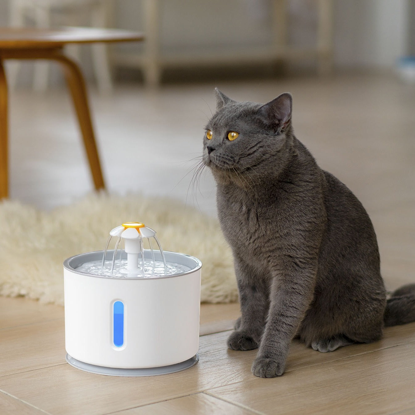 fontaine-a-eau-pour-chat-paquerette-us-8124304490776_0.jpg