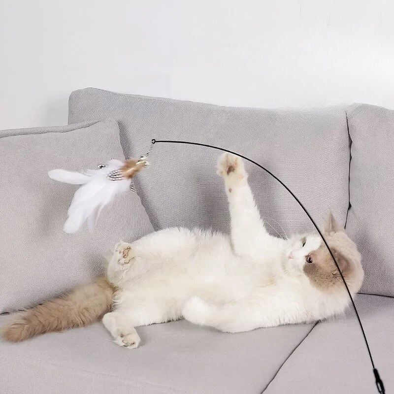 jouets-pour-chats-dappartement-us-9221465571608_0.jpg