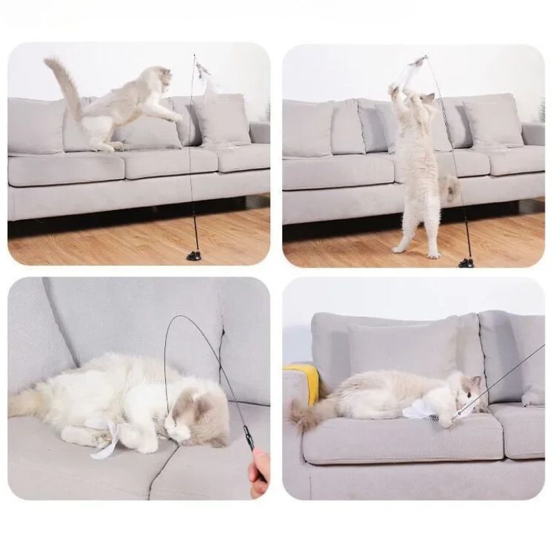 jouets-pour-chats-dappartement-us-9221465571608_3.jpg